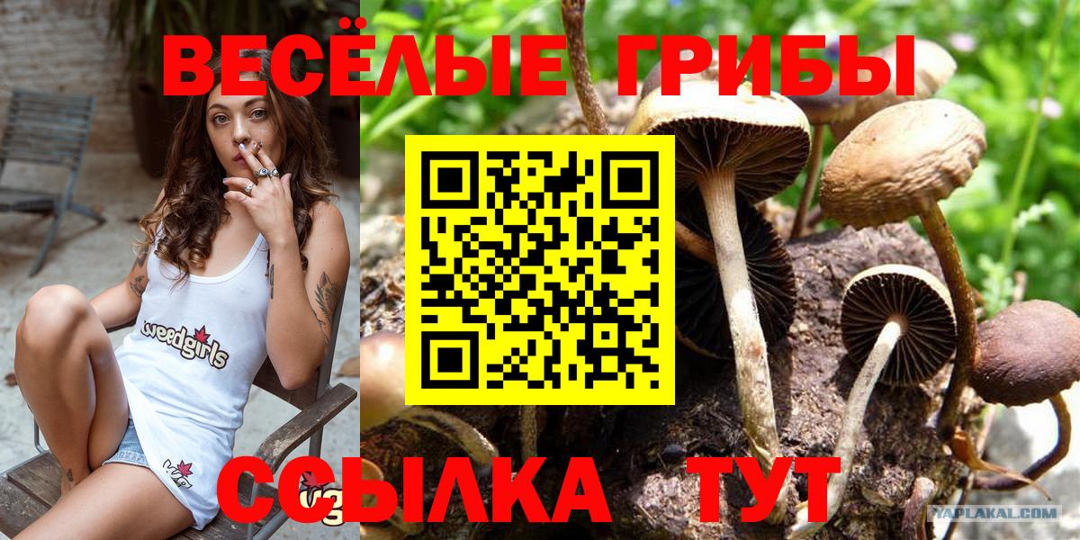 Галлюциногенные грибы MAGIC MUSHROOMS Буйнакск