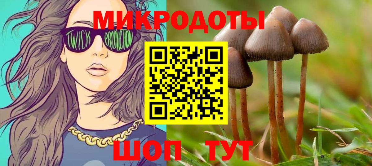 Галлюциногенные грибы мицелий  Вход с VPN  Галлюциногенные грибы мицелий  Буйнакск 