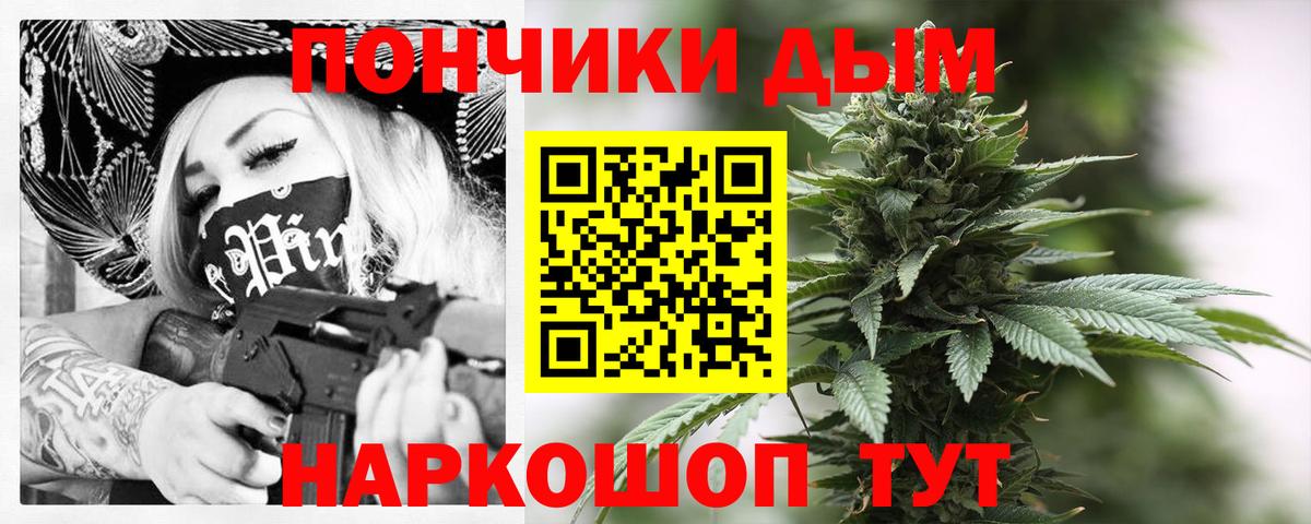 Шишки марихуана гибрид  Каннабис план  Шишки марихуана план  Вход с VPN  Буйнакск  Марихуана Bruce Banner 